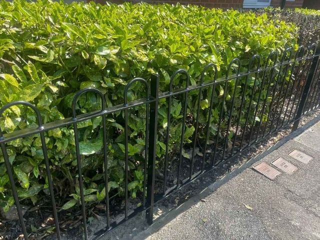 Close up of black bow top metal railings in front of a hedge in a Nottingham front garden