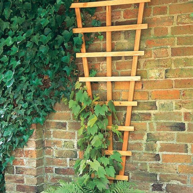 Nottingham fencing Fan Wall Trellis