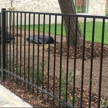 Flat top vertical bar metal railings by Nottingham Fencing