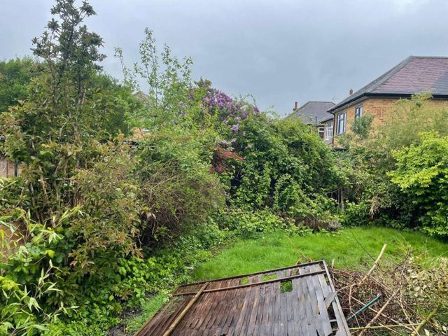 A heavily overgrown Arnold garden with collapsed fence panels lying under dense shrubs and brambles before clearance