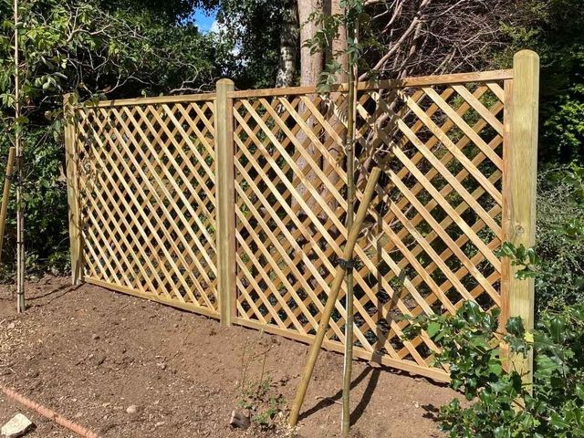 Diamond trellis panels partitioning a section of garden with newly planted trees and bare soil