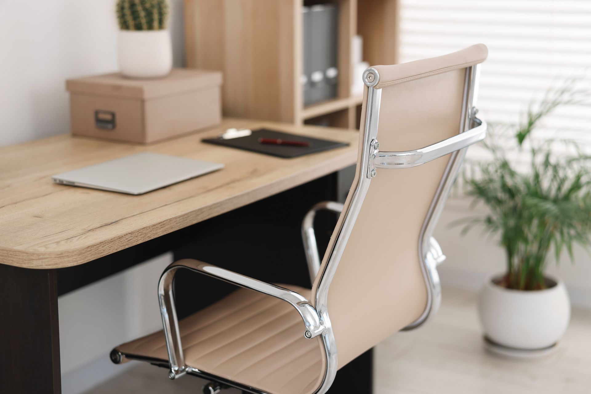 Office with desk, chair, laptop, plant, and cactus. Beige and black furniture in a bright room.