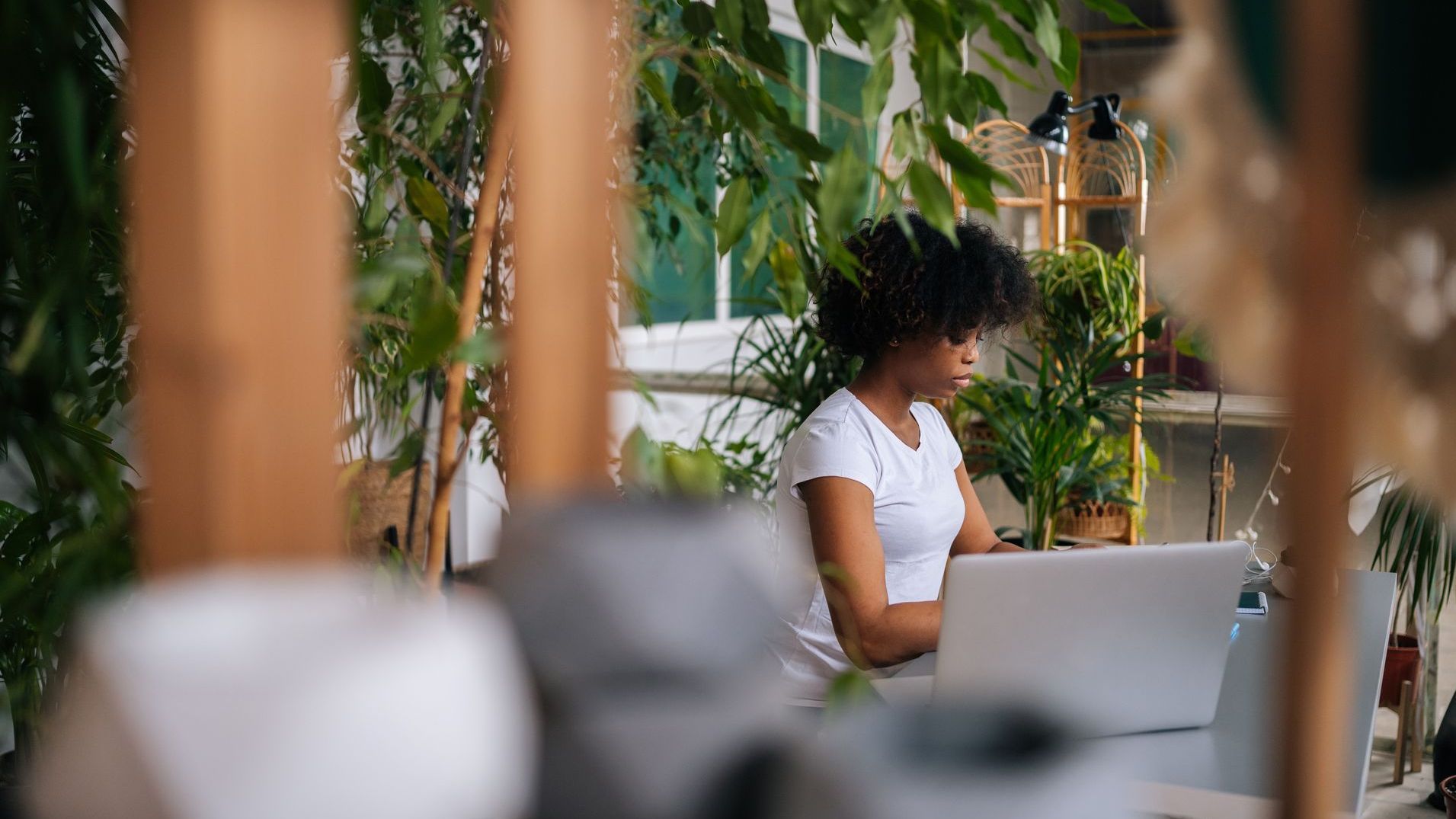 a Black girl with curly hair is worknig at a laptop in an office thriving with natural greenery.