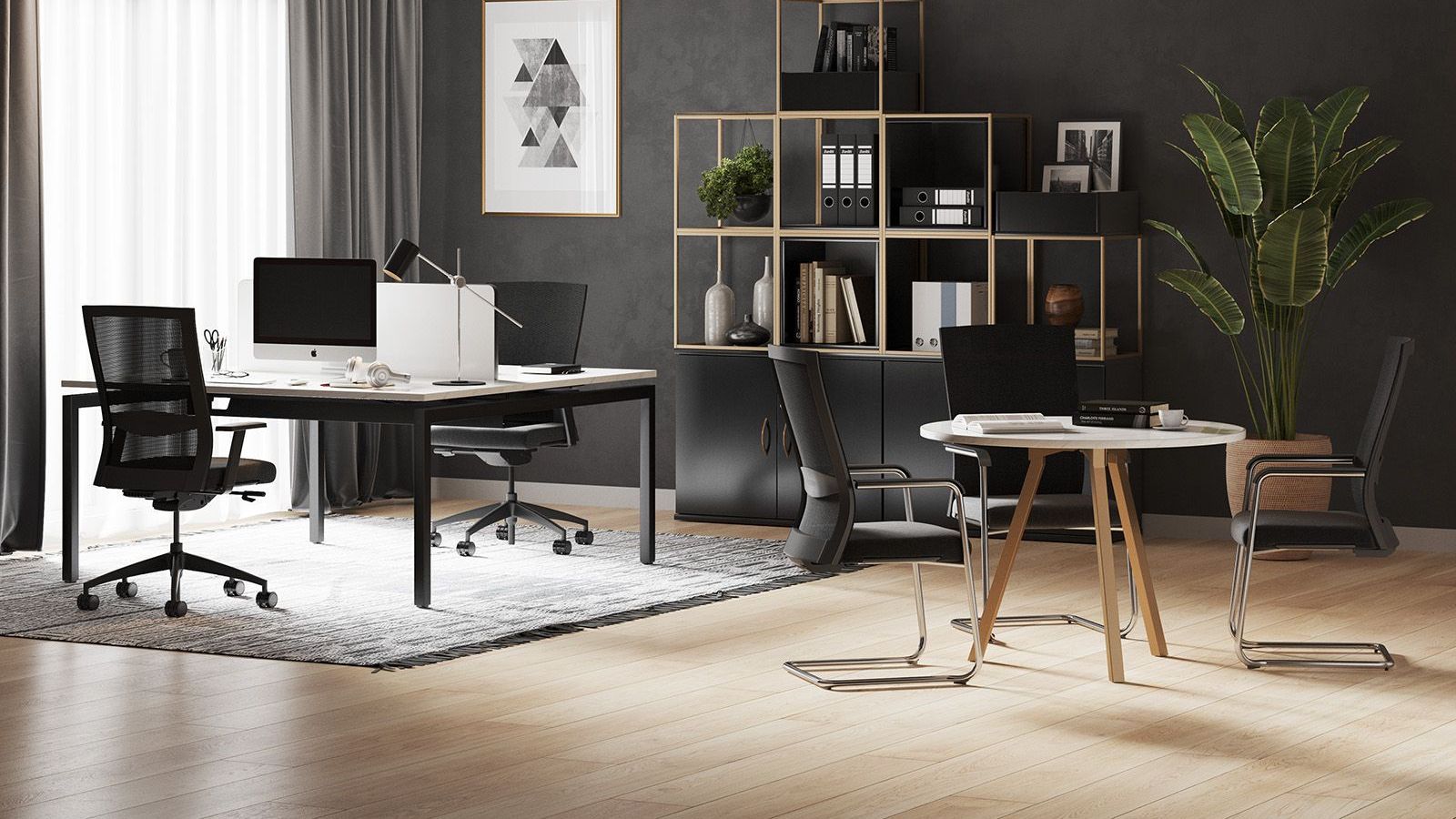 Modern office with desks, chairs, shelving, and a large plant. Black walls, wood floor, light rug.