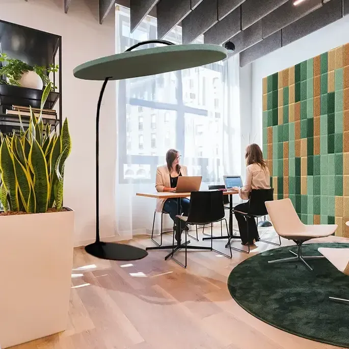 Hat acoustic overhead unit to soundproof an open space