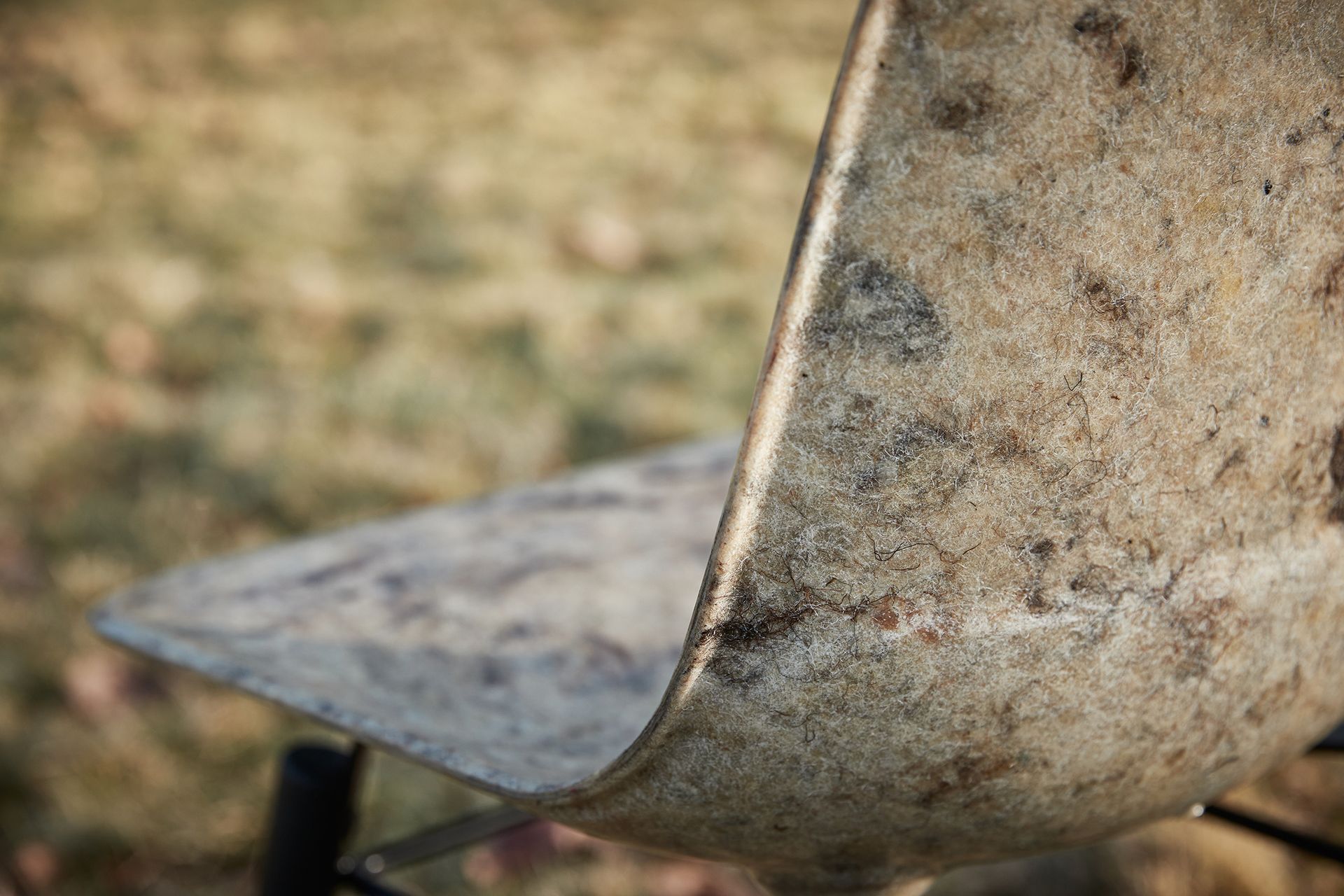 Welsh Mountain sheep in the countryside with one sheep situated near a Hembury chair.