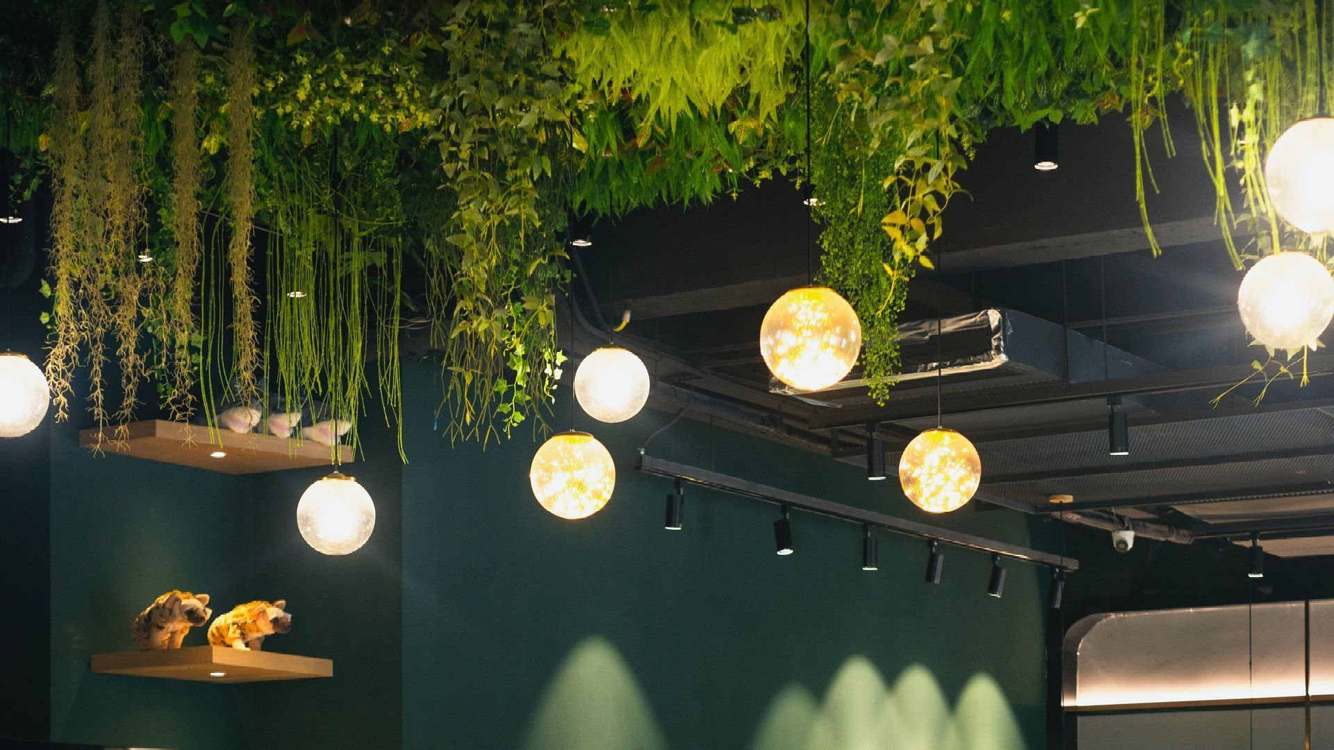 close up shot of the ceiling of an office. the ceiling has biophilic energy with flowing greenery coming down between the circular lights.