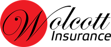 The Wolcott Group Inc