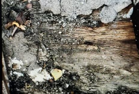 roofing companies near me