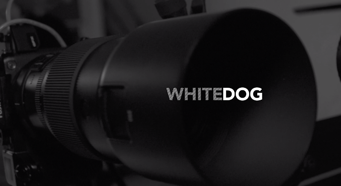 WHITEDOG