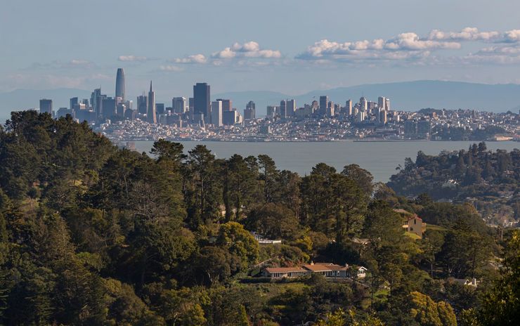 Skyline of San Francisco across the bay, seen beyond a tree-covered hillside under a clear blue sky.