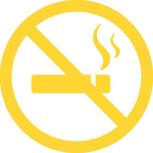 non smoking icon