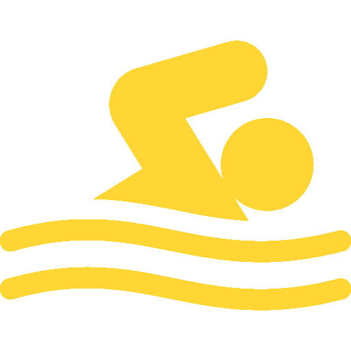 pool icon