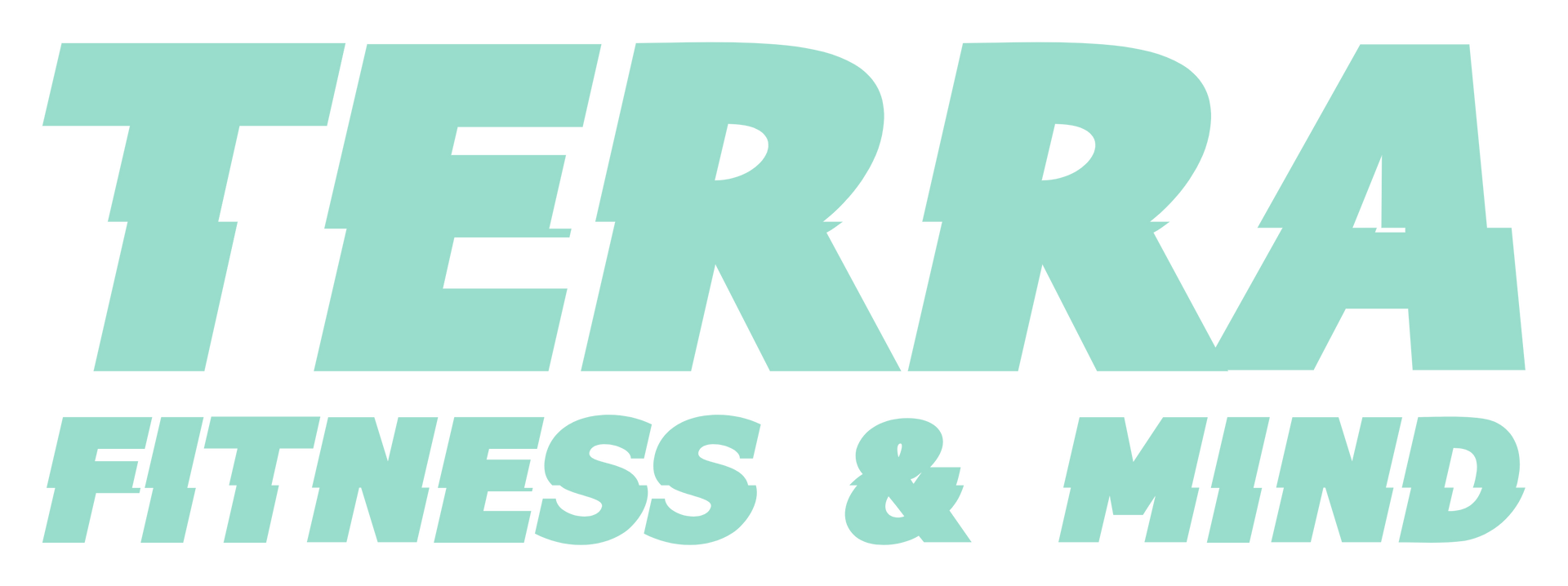 Terra Fitness & Mind logo
