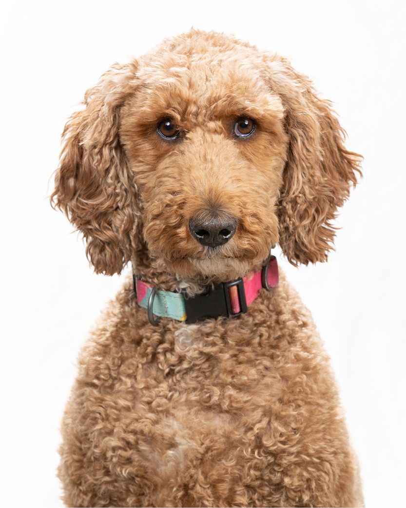 Remi