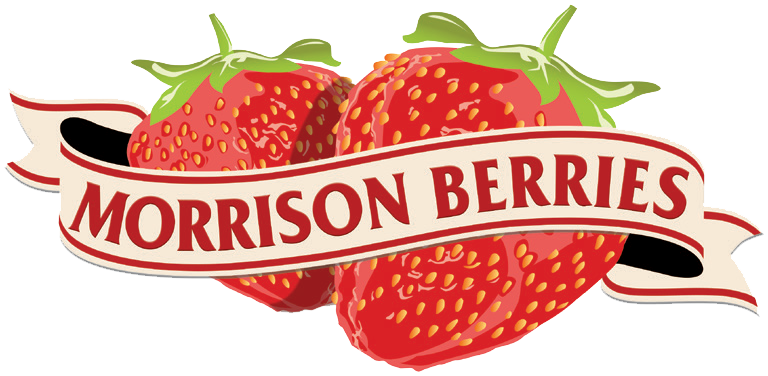 A logo for morrison berries with two strawberries and a ribbon