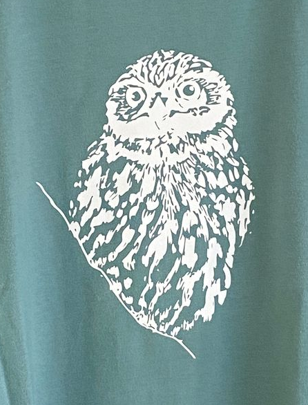 Art shirt Little Owl M Arctic