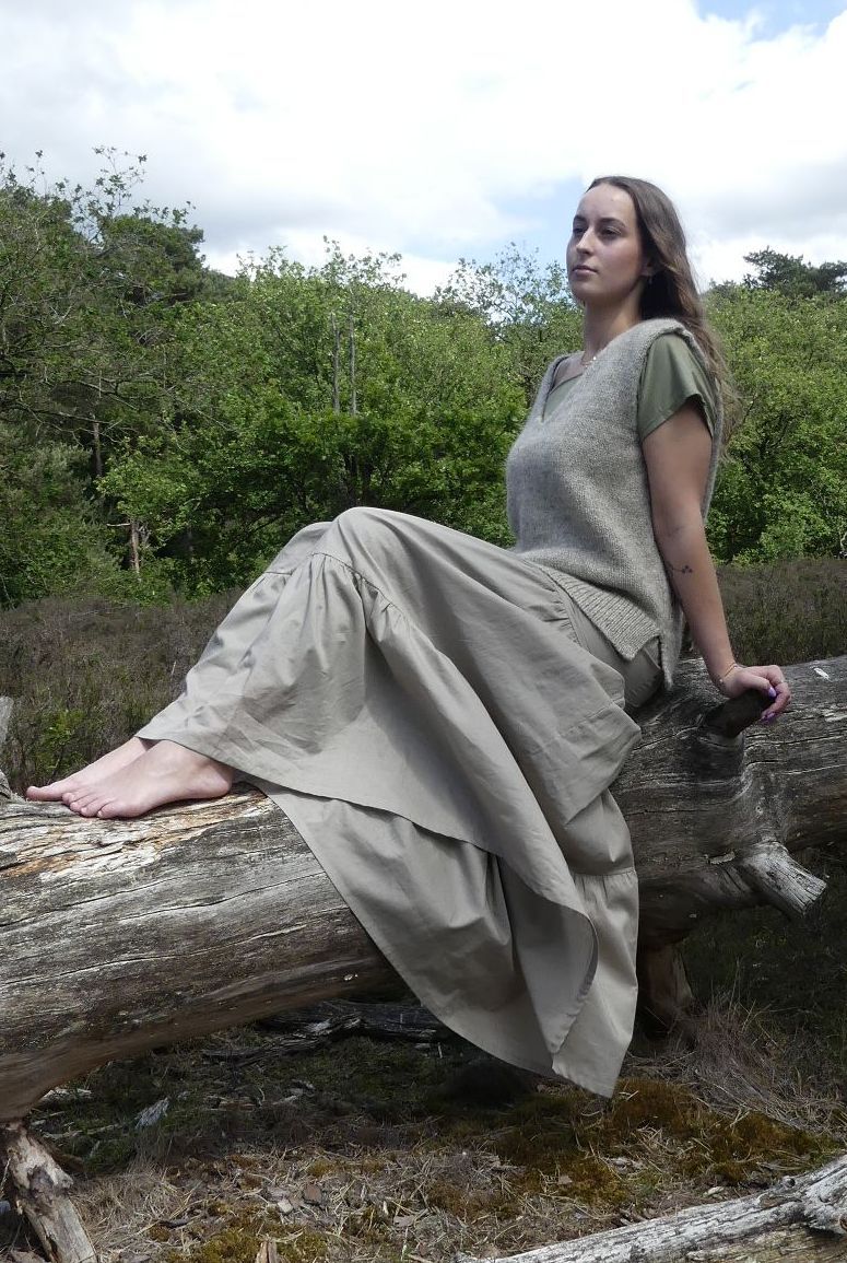 Spencer - Wool Drents heath sheep Drentewol