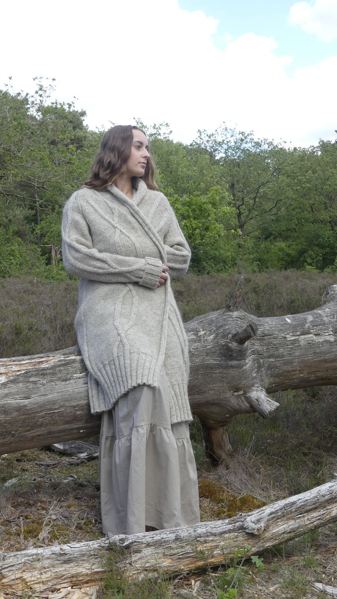 Cardigan - Wool Drenthe Heath Sheep Drenthe wool
