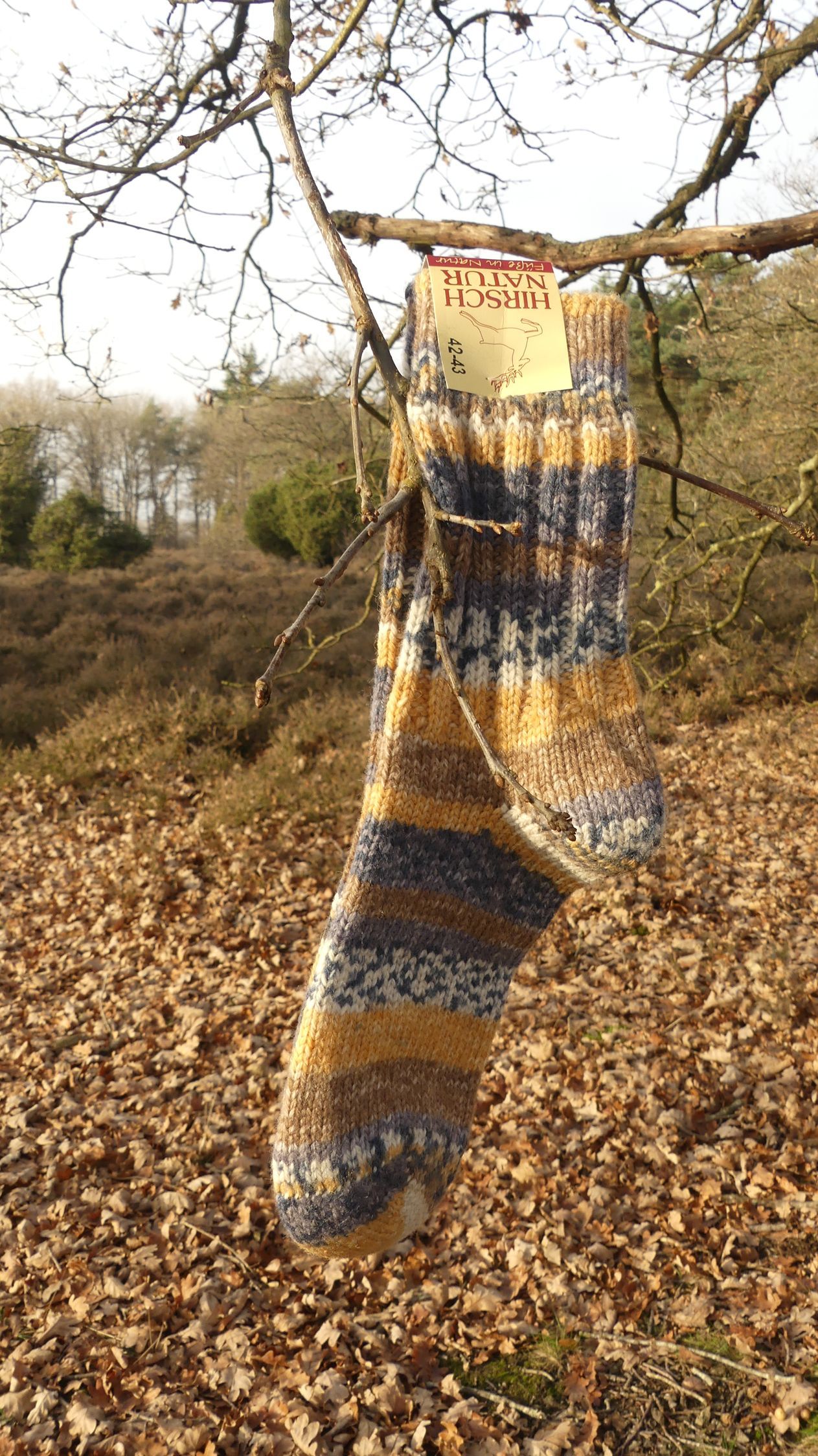Thick wool socks colored print
