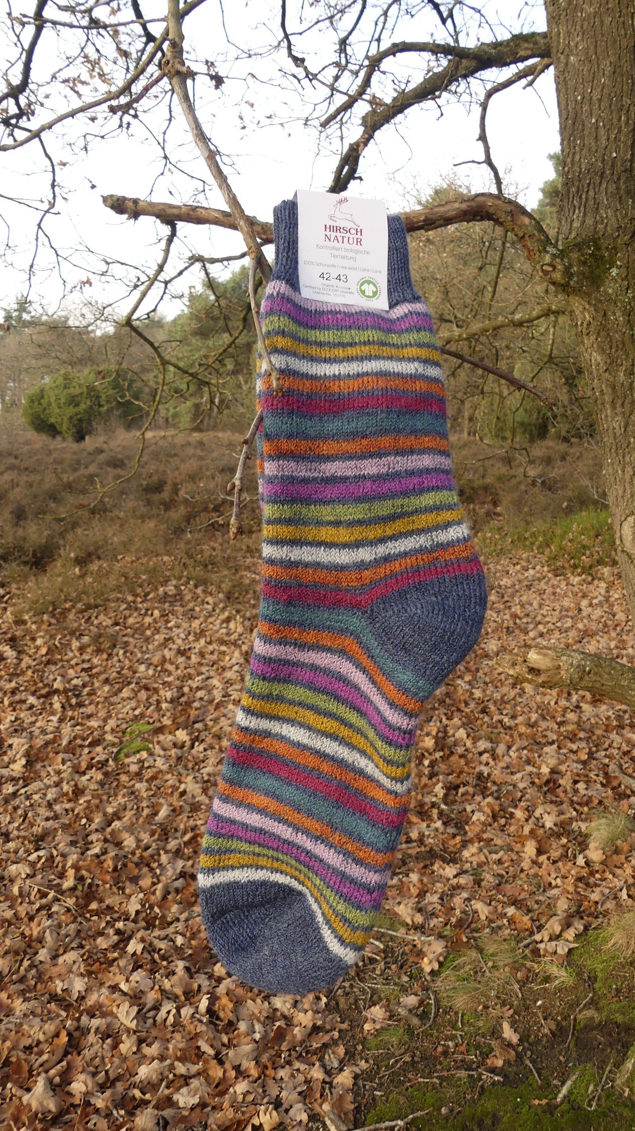 Wool socks plush sole, blue with colored stripes