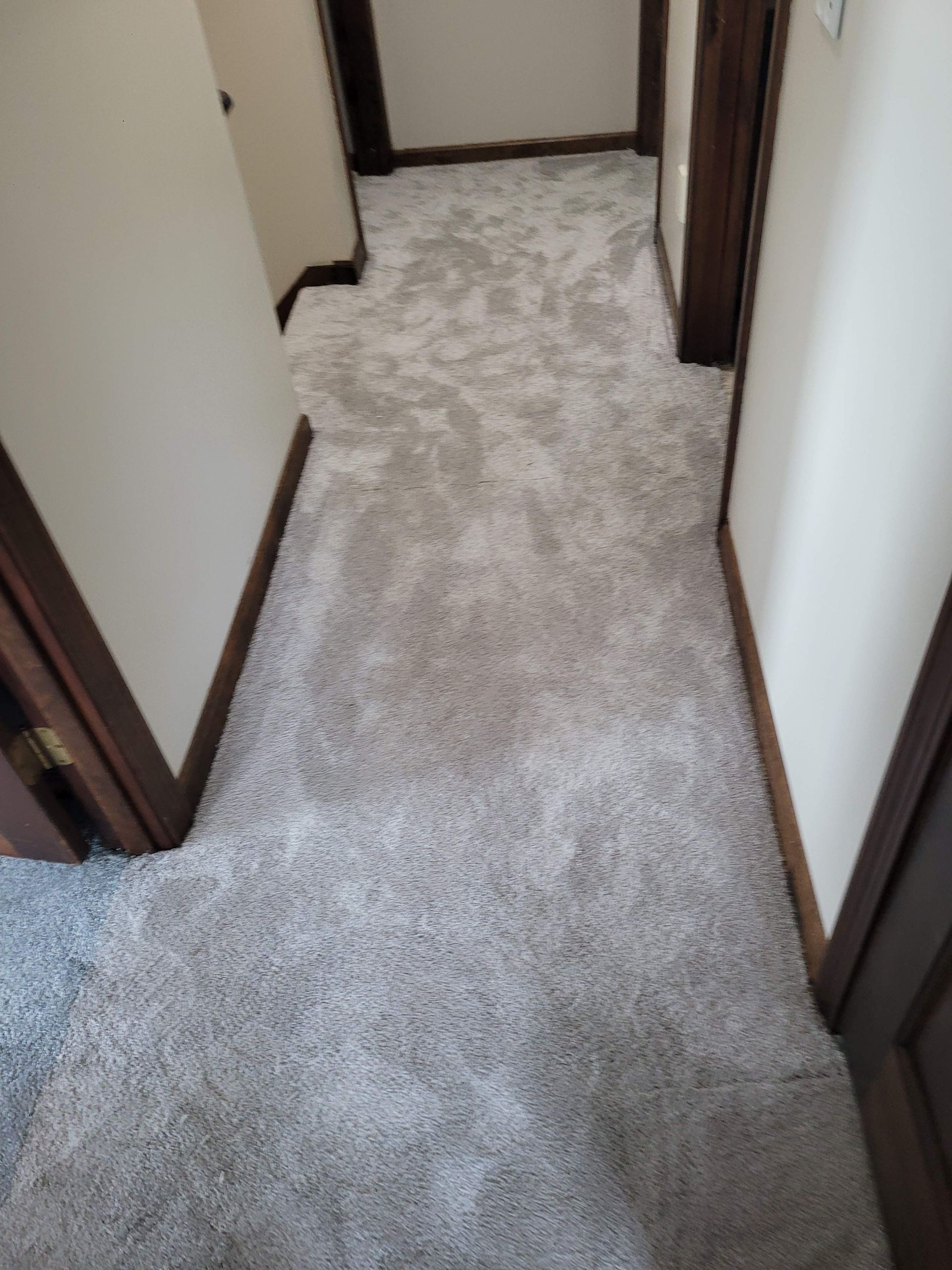 A hallway with a carpeted floor and a wooden door.