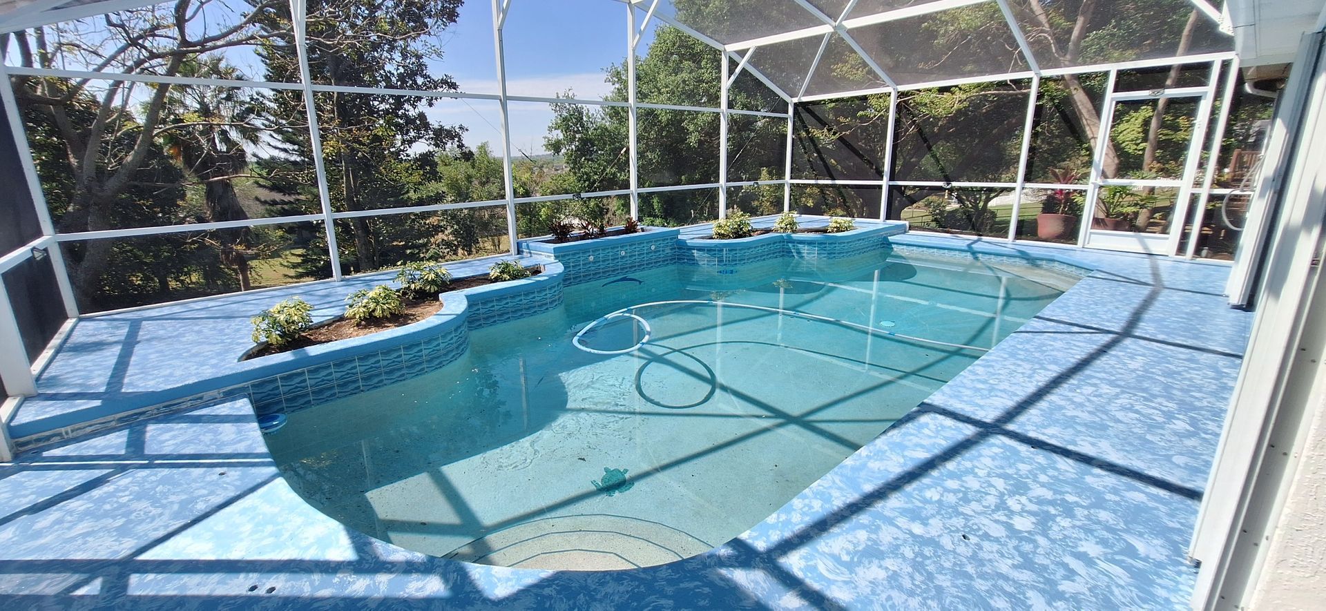 A swimming pool with a screened in area and trees in the background.