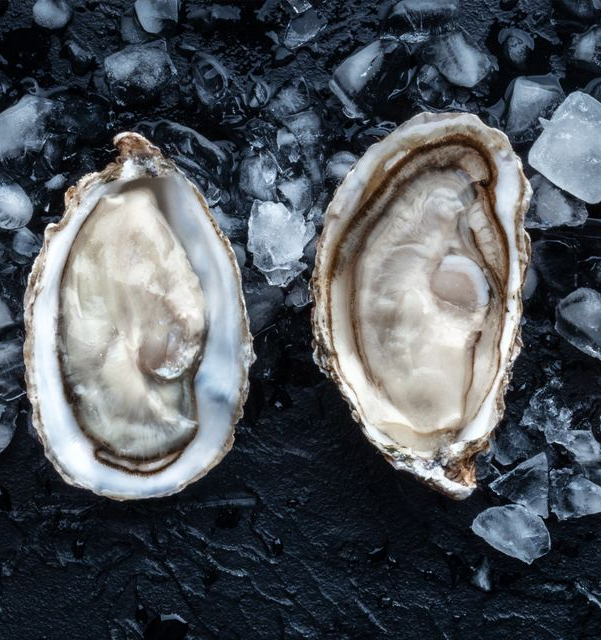 A pile of opened oysters with rough gray and tan shells, showing pearly interiors A pile of opened oysters with rough gray and tan shells, showing pearly interiors