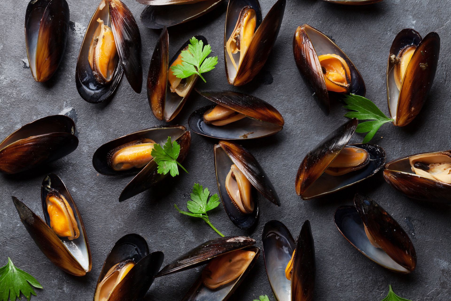 Pile of steaming mussels in a cooking pan, with dark shells and orange flesh visible Pile of steaming mussels on a grey bench top, with dark shells and orange flesh visible