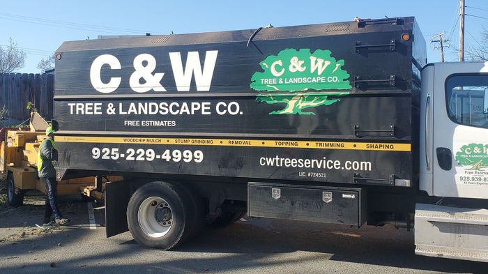 Tree Trimming — Martinez, CA — C&W Tree & Landscape Company Tree Trimming — Martinez, CA — C&W Tree & Landscape Company