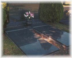 Gravestone with pink flowers and a reflective black granite surface in a cemetery