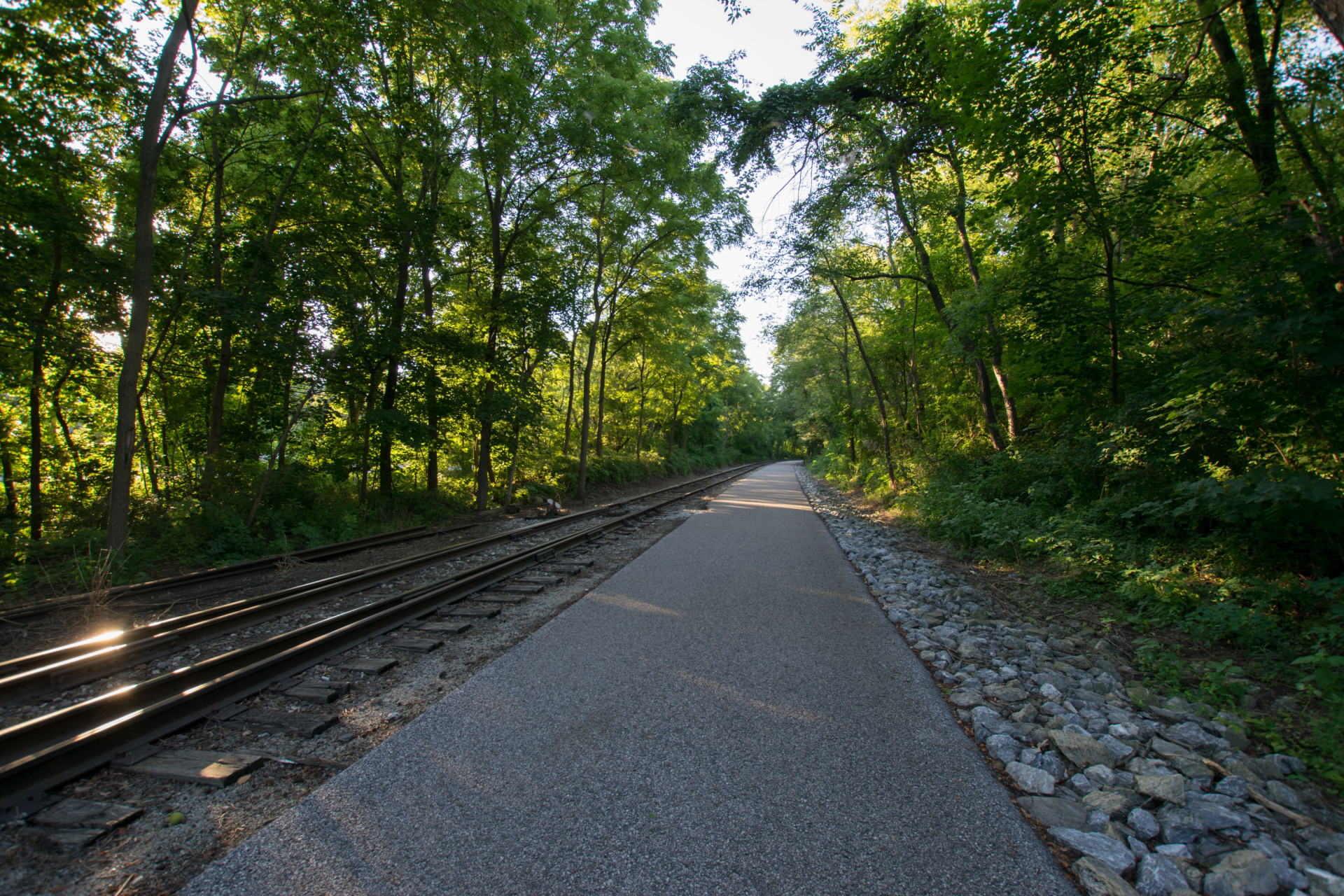 Tree-lined path beside railway tracks in a wooded area at sunset