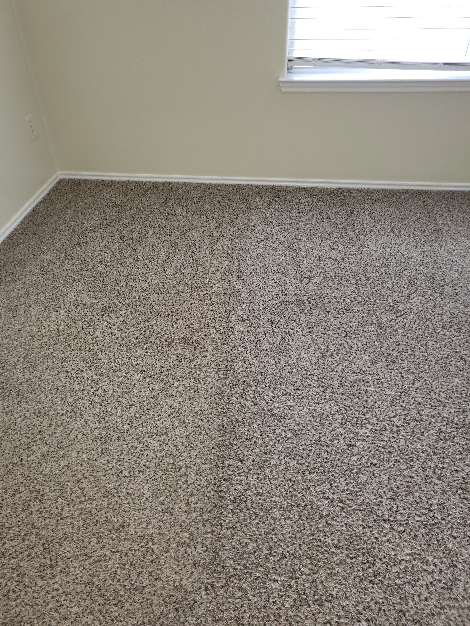 Hands rolling up a beige carpet on a hardwood floor