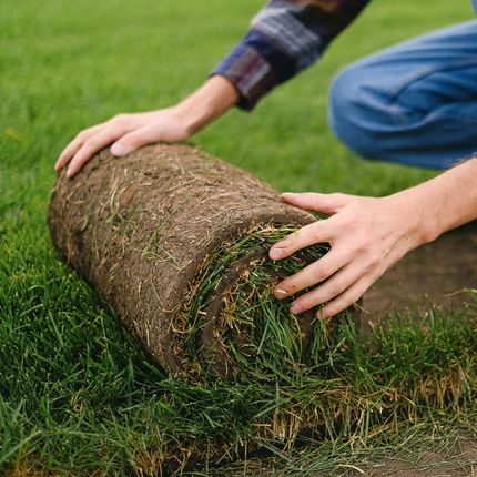 A person is rolling a roll of grass on the ground