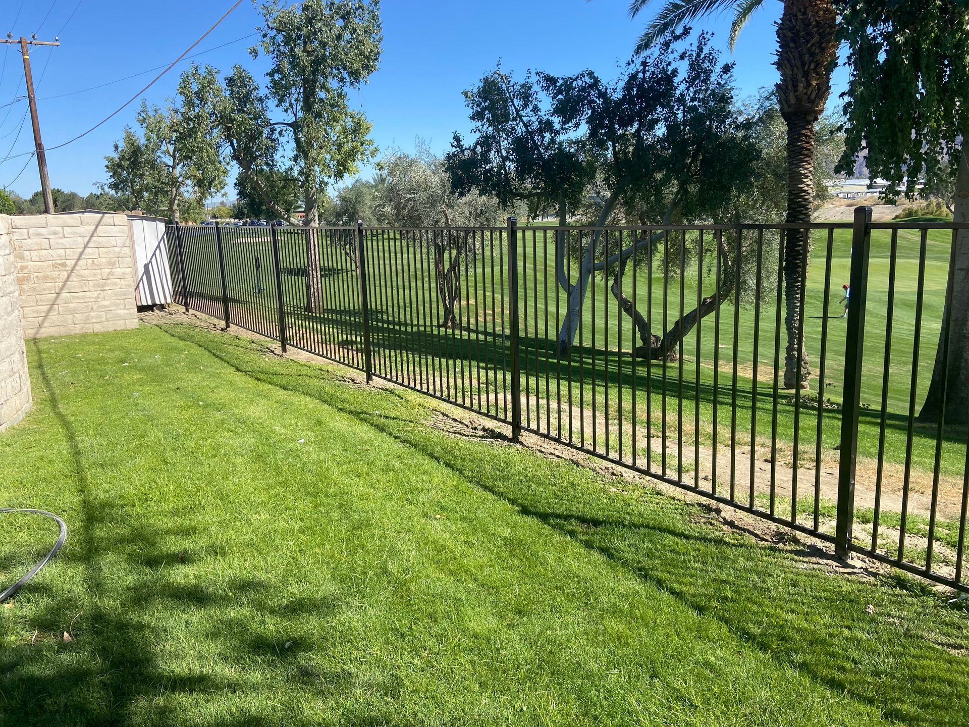 Sunny backyard with green grass, black metal fence, and trees along a paved path