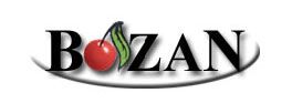 Bozan