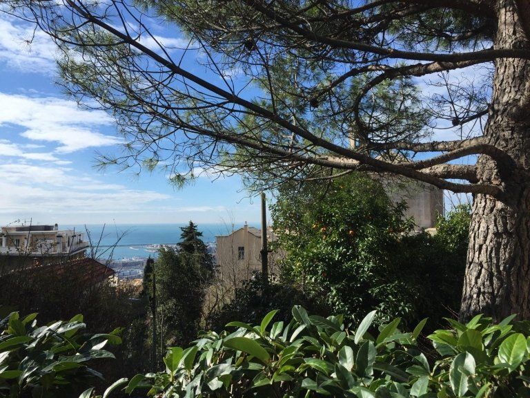 giardino della residenza per anziani