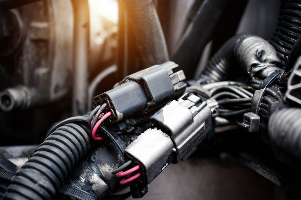 Close-up of Two Black Electrical Connectors — Fischer Automotive in Svensson Heights, QLD