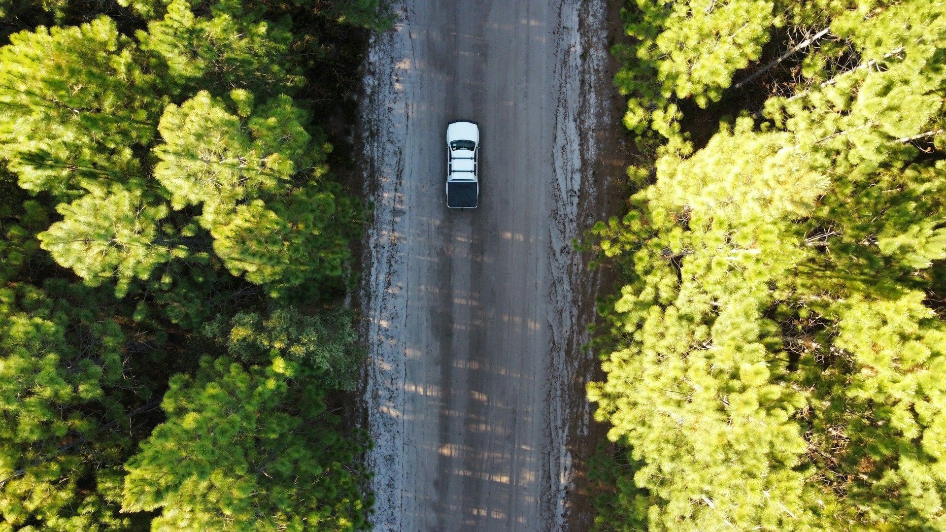 White Car Drives Along a Narrow Road Bordered — Fischer Automotive in Svensson Heights, QLD