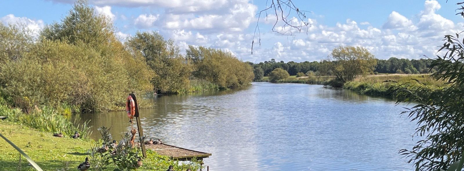 The lake at Cotswold Grange Country park