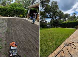 Split-view yard scene with a sloped dirt area on the left and a green lawn with hedges and trees on the right