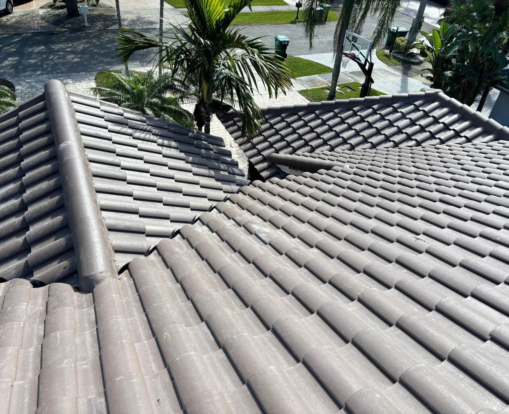 Gray tiled roof with intersecting ridges and palm trees in the background
