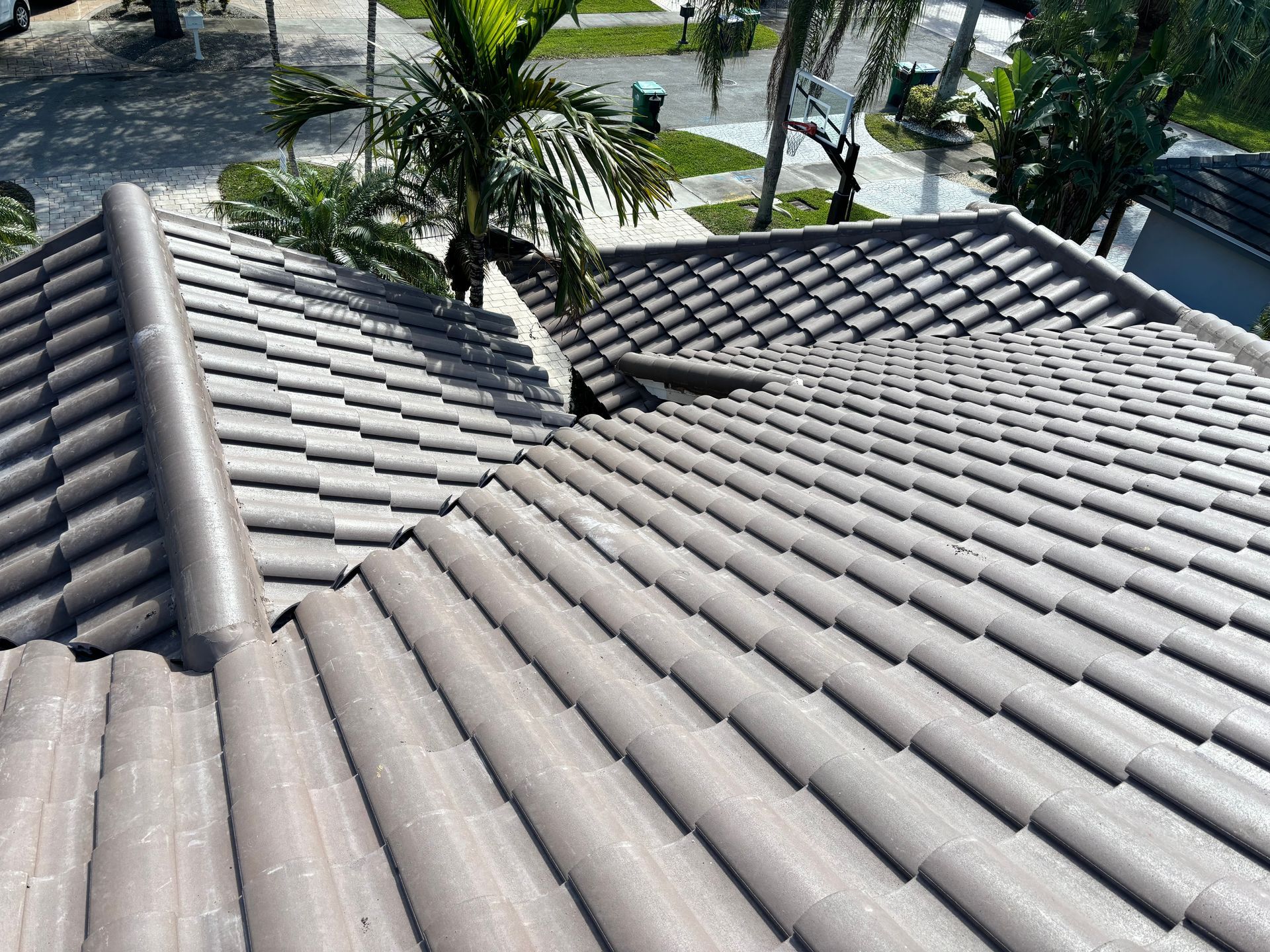 Gray tile roof with a palm tree in the background.
