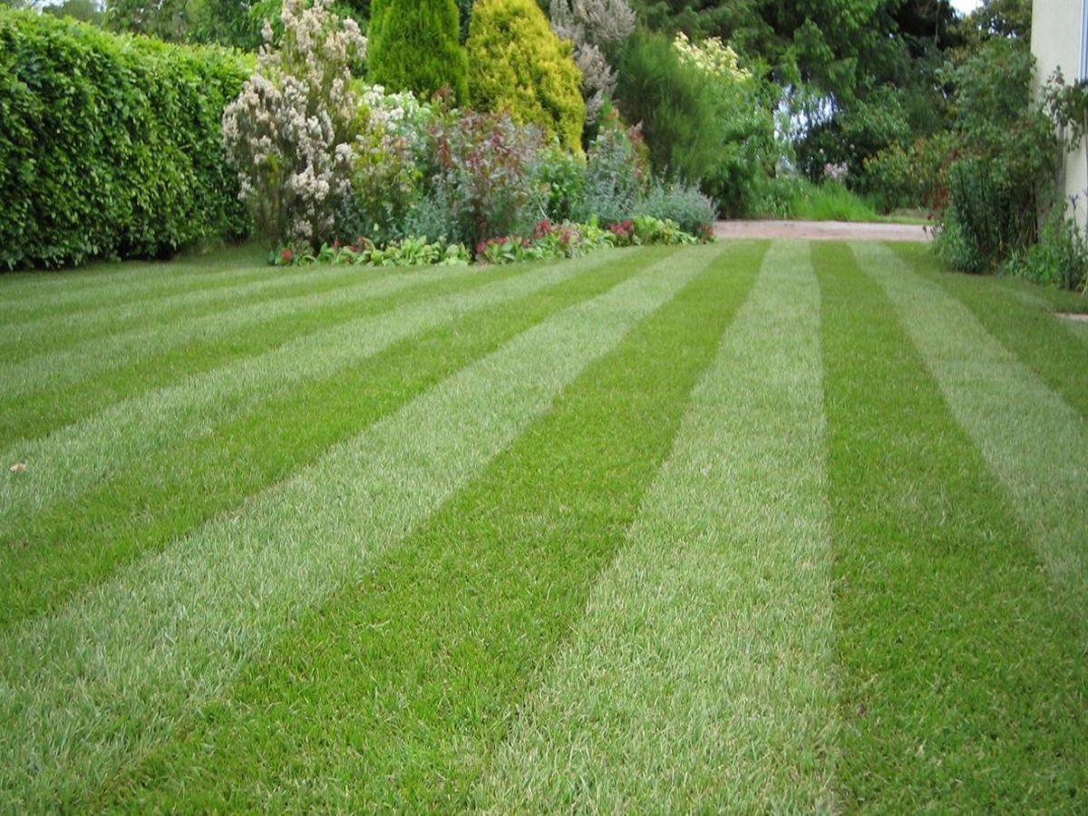 prodrainage-gallery