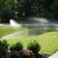 prodrainage-reviews