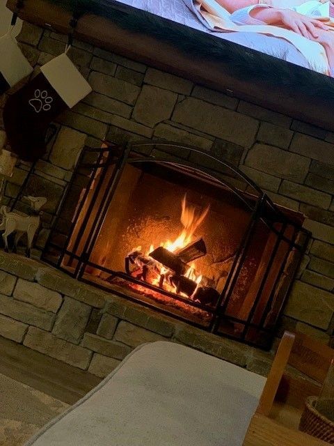 A lit stone fireplace with a black metal screen and warm orange flames in a cozy room