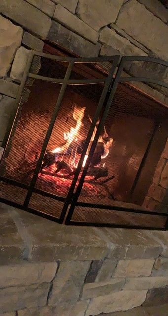Fire burning in a stone fireplace behind a black metal screen.