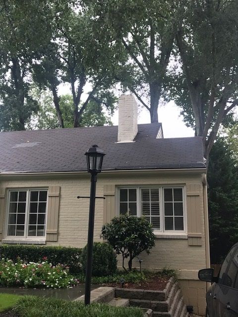 Small beige house with white shutters, black lamppost, and brick steps under tall trees.