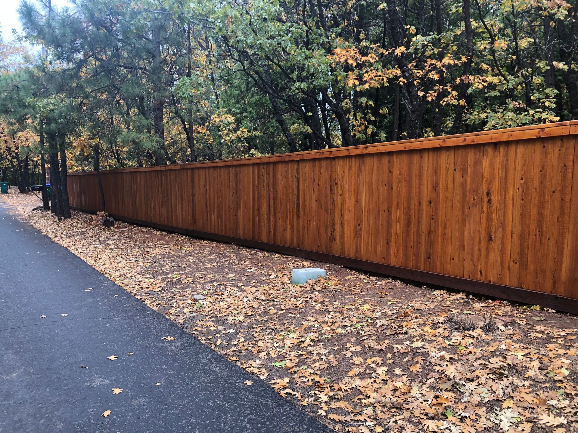 A long, stained wood privacy fence stretches beside an asphalt path covered in fallen autumn leaves, backed by trees.