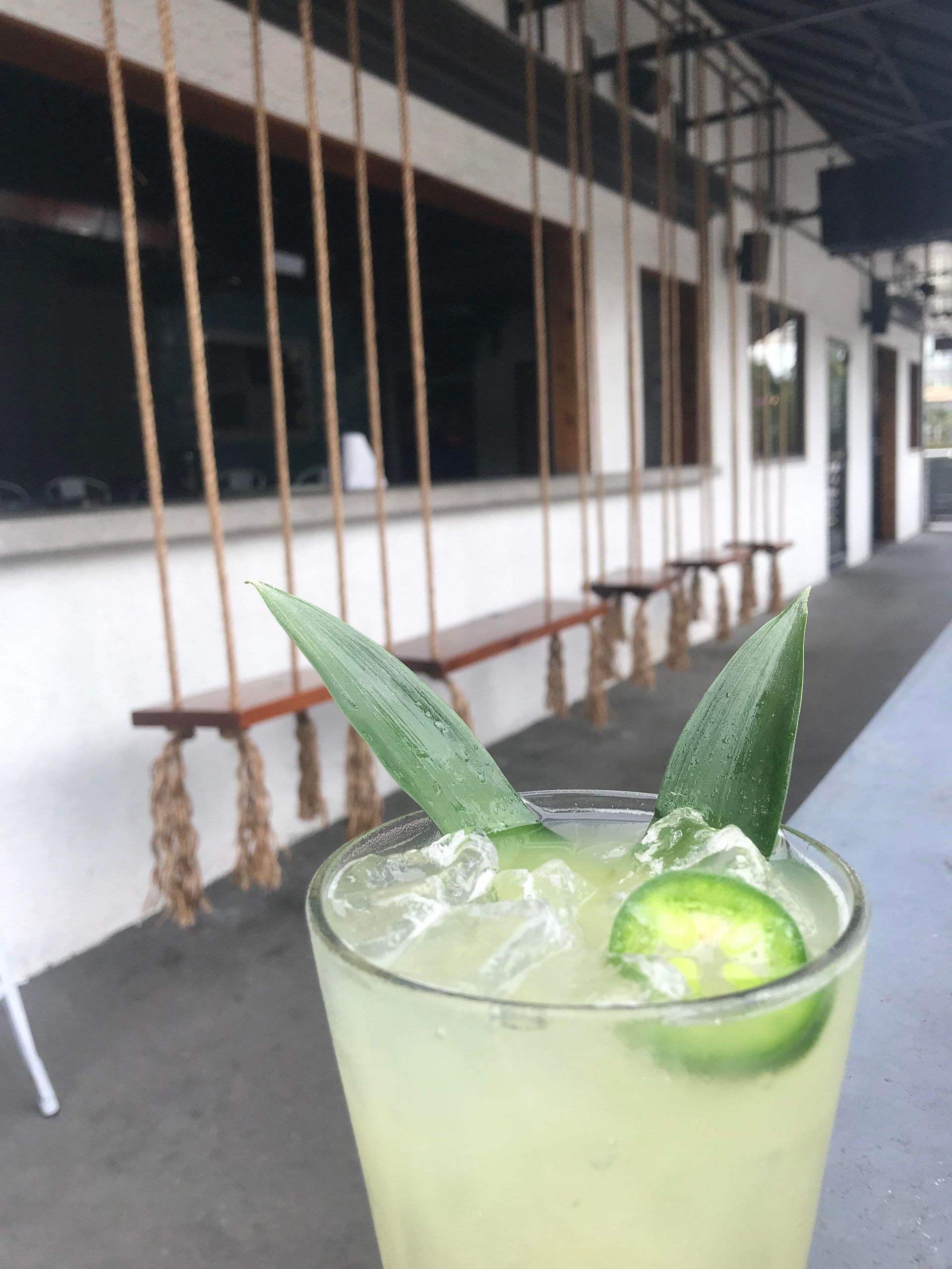 Cocktail garnished with aloe and jalapeño, in front of outdoor bar with hanging swings.